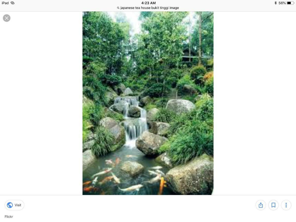 Bukit Tinggi Berjaya Hill Homestay Экстерьер фото